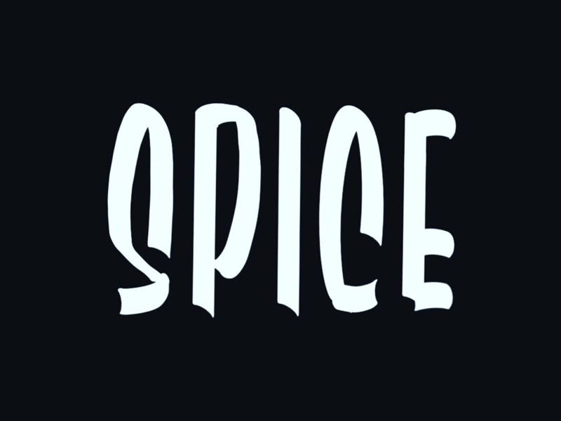 Spice sketch typography typemate sketch script procreate brushes procreate logotype logo lettering brushes lettering ipad handlettering hand lettering digital calligraphy casual calligraphy brushes calligraphy brushes