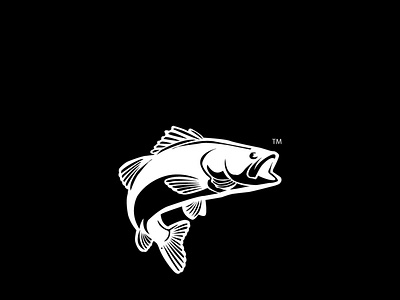 #FISH animation branding graphic design logo