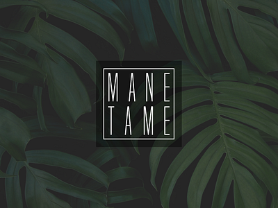 Mane Tame - Logo Design beard beauty beauty product beauty products brand branding facial hair jungle jungle theme logo logo design minimalist minimalist logo moisturizing moustache product design simple subtle typography vector