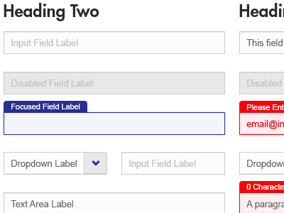 Input Field Design