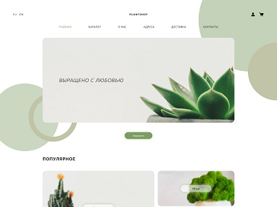 Дизайн сайта для онлайн-магазина комнатных растений design graphic design prototype study case typography ui ux web design