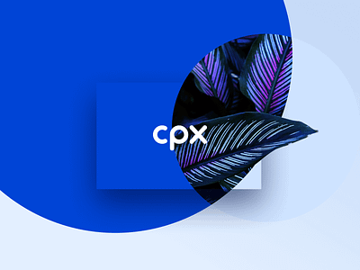 CPX Brand Design blue brand design branding climate change design design system digital enviroment logo simple