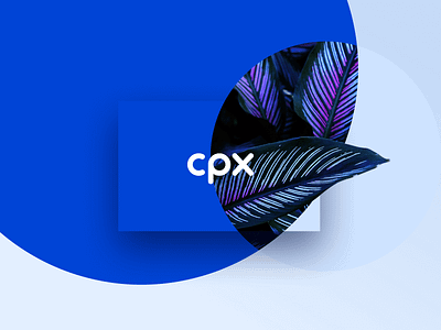 CPX Brand Design