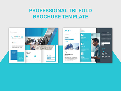 Professional Tri-fold Brochure Design