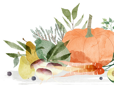 | Autumn vegetables | drawing illustration watercolor