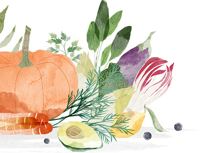 | Autumn vegetables | drawing illustration watercolor