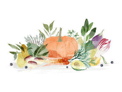 | Autumn vegetables | drawing illustration watercolor