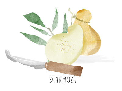 | Italian Cheese | drawing illustration watercolor