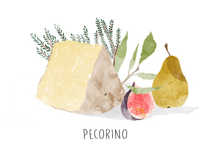 | Italian Cheese | drawing illustration watercolor