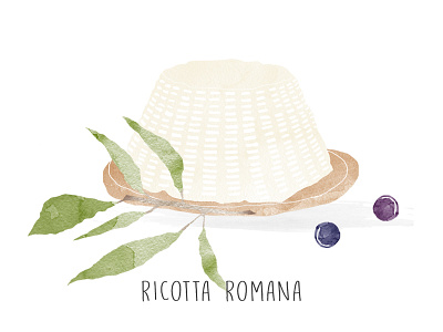 | Italian Cheese | drawing illustration watercolor