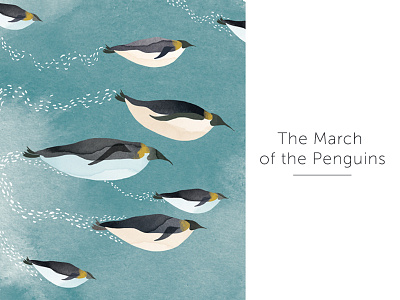 | The march of the penguins | childbook illustration watercolour