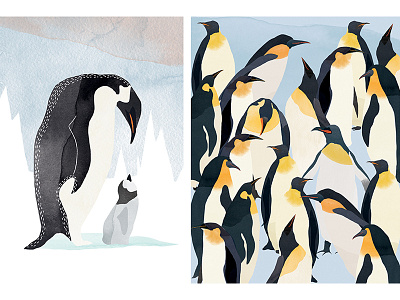 | The march of the penguins | childbook illustration watercolour