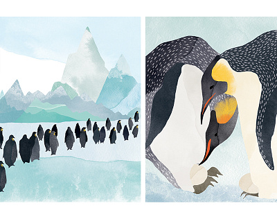 | The march of the penguins | childbook illustration watercolour