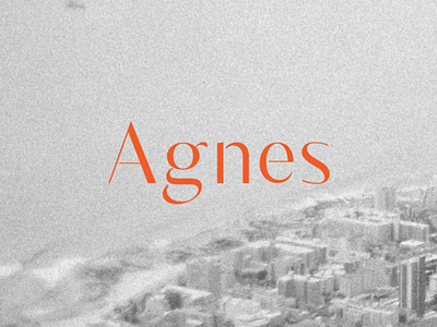 Agnes Typeface agnes design font typeface typo typography