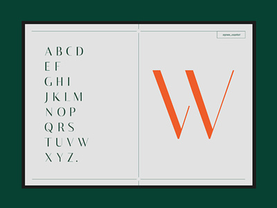 Agnes Typeface - Capital design font typefaces typography