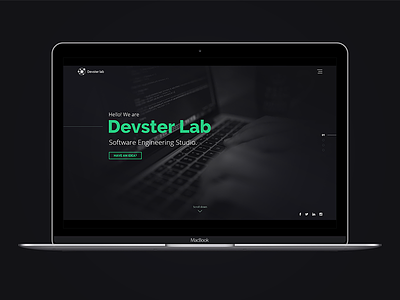 Website design for Devster Lab company design ui user expirience ux. user interface web design website design