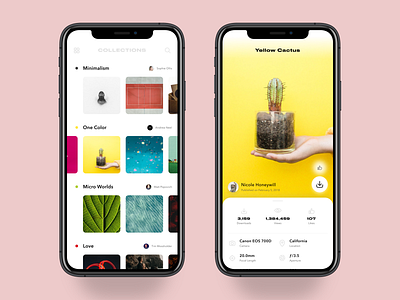 003 - Gallery app app appdesign creative dailyui design designstudio dribbble gallery gallery app images madewithstudio pictures product productdesign ui uidesign userexperience ux uxdesign