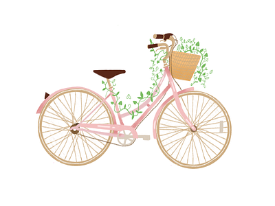 Summer Bicycle