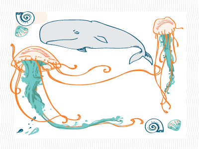 A few rejected sea elements jellyfish ocean seashell whale