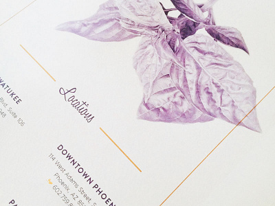 sneak peek of a restaurant menu design basil gold purple restaurant menu