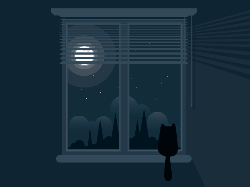 Cat on the window cat moon window