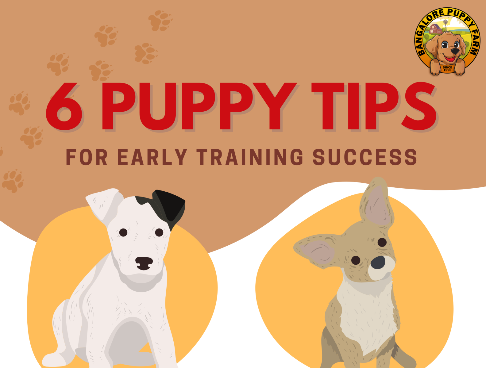 Best dog breeders in Bangalore Bangalore Puppy farm by