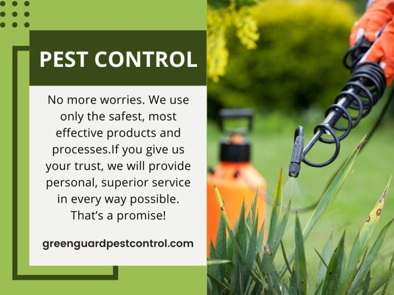 Pest Control Boise by Green Guard Pest Control on Dribbble