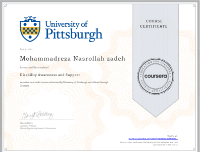University of Pittsburgh certificate desability design ux ux des ux research