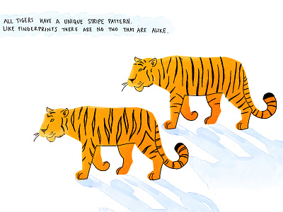 Tiger stripes animal digital illustration tiger