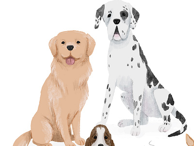 Dogs digital dog dogs illustration photoshop