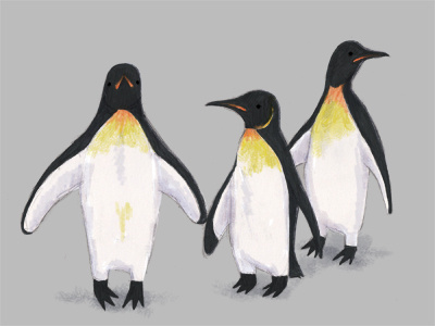 Penguins