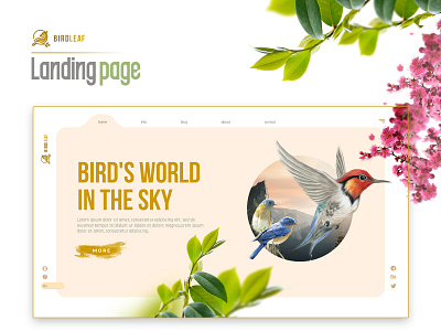 Bird Info | Ui / UX Deisgn Concept branding design concept landing page typography ui ux website