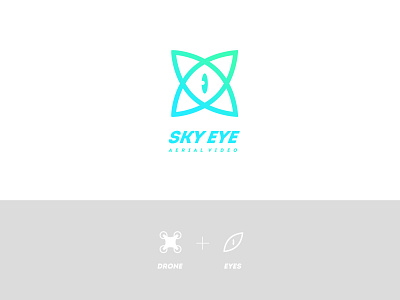 Logo for Sky Eye. Aerial video and photo branding graphic design logo vector