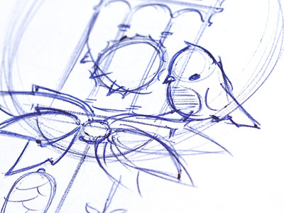 cuckoo’s clok bird illustration sketch