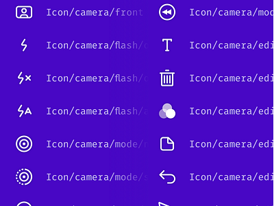 Icons camera app
