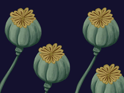 poppy autumn flower green illustration loretaisac pattern poppy