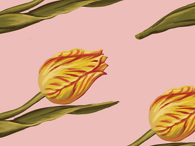 Yellow Tulips flowers illustration loretaisac pink tulips yellow