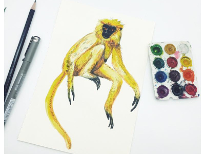 The Golden Langur monkey tutorial watercolor