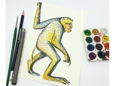 Monkey monkey watercolor