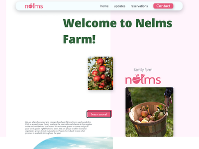 Nelm's Farm Home Page branding design figma logo product design ui ux web design