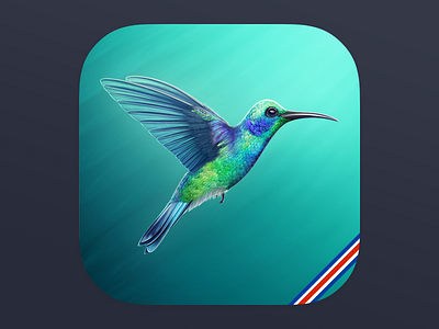 Colibri IOS App Icon application bird exotic green illustration ipad iphone leaves photoshop realistic skeuomorphic tropic