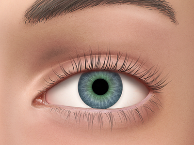 Realistic Eye Illustration for Medical App drawing eye eyebrow eyelash ophthalmologist painting photoreal photoshop realistic wacom