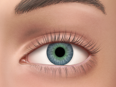 Realistic Eye Illustration for Medical App