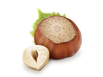 Hazel Nut icon