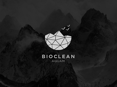 Bioclean Logo agency branding bureau design identity logo logotype simple smart sndsgn studio