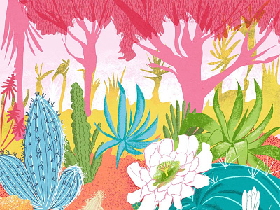 Colorful cactus garden america book illustration cactus design editorial flower forest garden illustration procreate tree tropical wildness