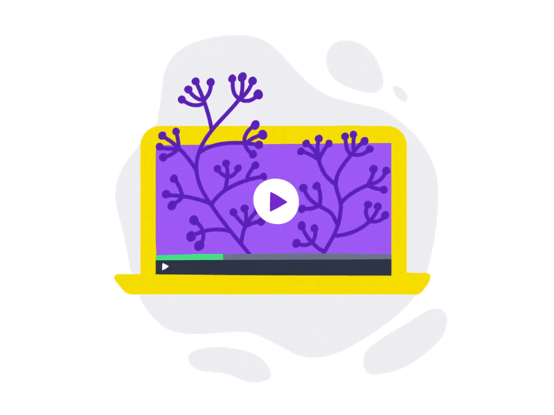 Viewing fun plants spring video vidyard