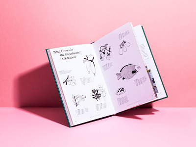 Illustrations and graphic design QO Amsterdam book art direction book design branding drawing graphic design hand made illustration illustration pink