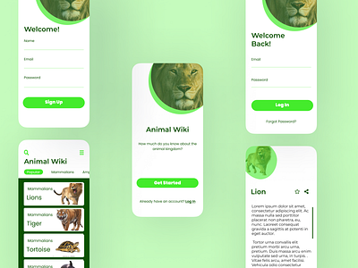 Animal Wiki App app design ui ux