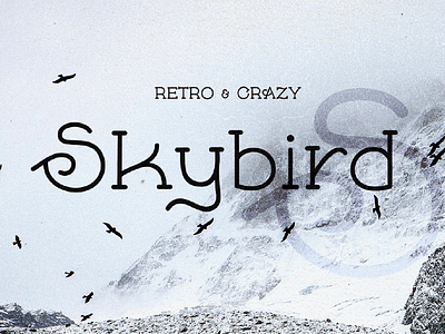 Skybird bird clean crazy handmade light retro rough serif skybird typewritter unique vintage